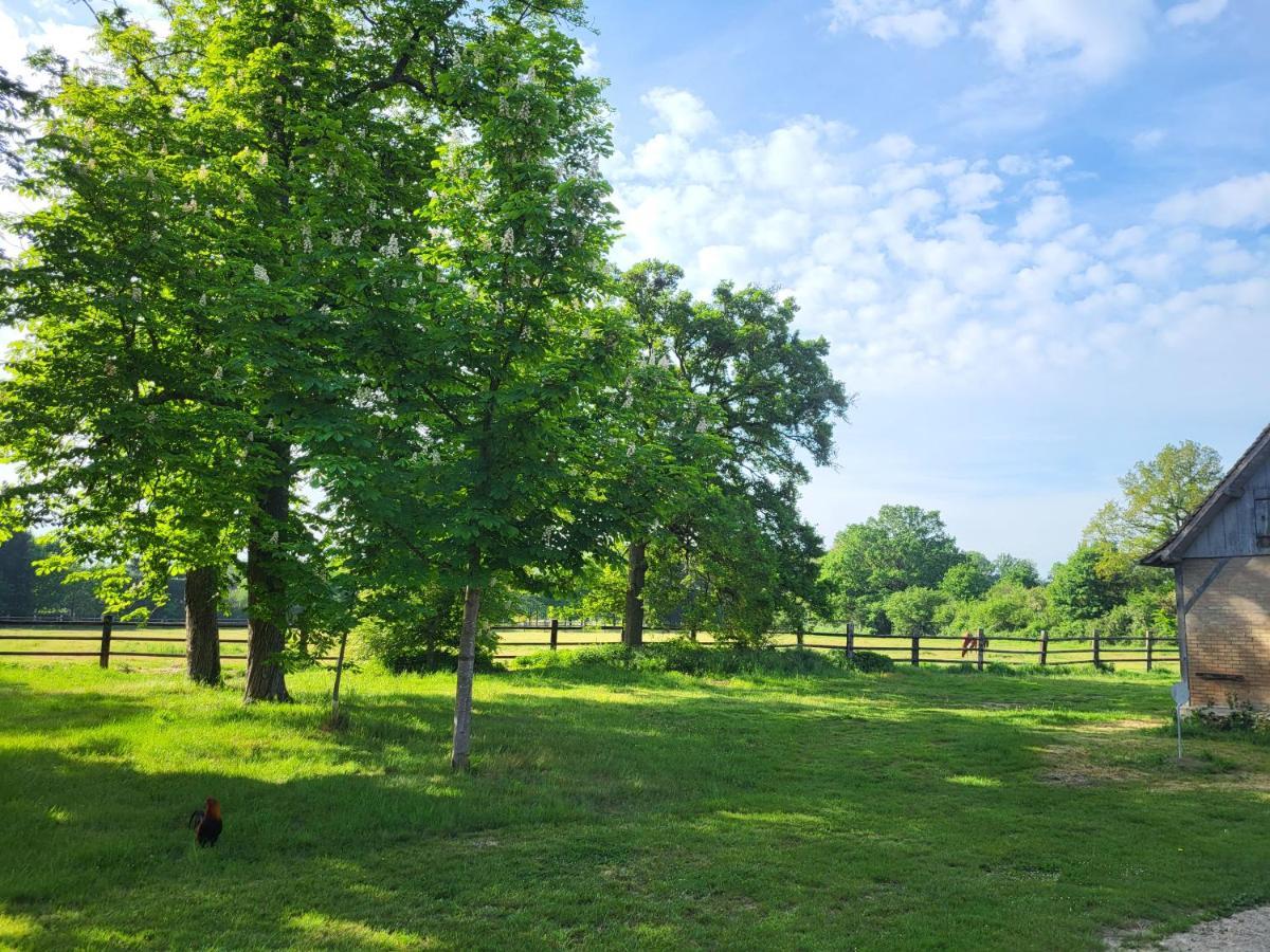 De La Chapelle - Circuit Des 24 - Arnage - 10 Personnes Holiday home *